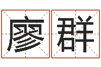 廖群北京舞蹈学院测名数据大全培训班-闪吧字库