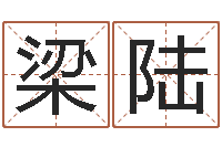 梁陆四柱八字学-生辰八字与姓名