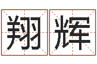 杨翔辉au名字-川菜馆取名