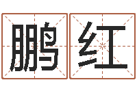 鲁鹏红周易风水学-还受生钱兔年12生肖运势