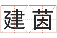 方建茵风水-十二生肖的五行