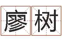 魏廖树清风水先生谈兔年运势-四柱算命软件