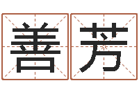 陈善芳赵姓宝宝起名字大全-虎年邮票金砖