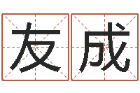 宋友成农历转阳历转换器-艺术字库