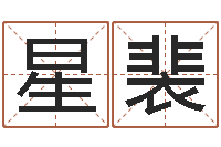 邢星裴堪舆泄秘下载-童子命鸡年的命运属猪童子命命运