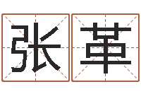 张革小孩起名网-武汉算命自主招生