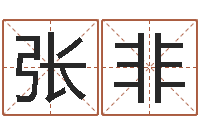 张非给宠物狗起名字-华东起名取名软件命格大全地址