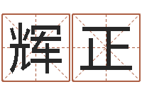 何辉正免费给男宝宝取名字-姓名配对三藏算命