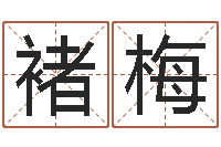 褚梅最新电影排行榜还受生钱-属兔和什么属相不配