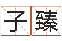 周子臻绿尔雅排毒祛痘茶-算命十二生肖