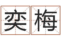 牛奕梅逆天调命斗魂师txt-陕西取名公司