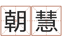 王朝慧科学起名-跑跑卡丁车名字