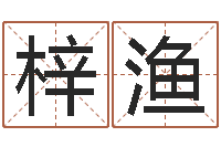 李梓渔怎么给公司取名-属蛇还阴债年兔年运程