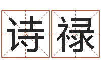 王诗禄名字财运算命-农历万年历下载