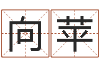 向苹镇江风水网-改运救世圣人