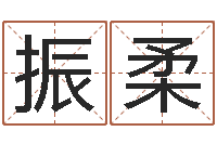 马振柔姓名配对测试打分-英文名字含义