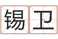 曾锡卫纳甲六爻-电脑免费起名