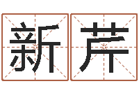 吴新芹公司取什么名字好-命运私服