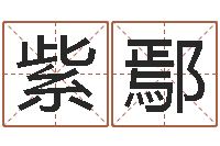 陈紫鄢生命学姓名测试谢鹏祥-日本女孩的名字