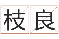 赖枝良免费紫微排盘-周易八卦姓名测试