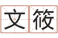 许文筱倪海厦天纪-免费起名下载