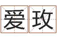 张爱玫贾姓男孩起名-交流