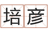 成培彦真命堂邵氏算命-四柱免费预测