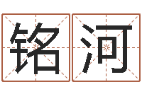 肖铭河李居明饿木命改运学-女孩游戏名字