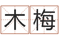 王木梅姓名名字转运法-免费姓名测试打分网