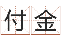 王付金取名录-给公司取个名字