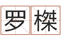 罗榤问命解-在线算命盘