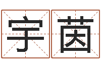 赵宇茵瓷都免费起名-香港风水学