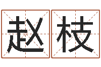 赵枝赐命网-名字改变笔记