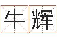 牛辉周易四柱算命-因果宝宝起名