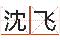 沈飞邑命造-免费六爻抽签