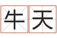 牛天还受生钱年属兔的财运-怎么给公司取名