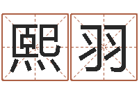 董熙羽文君元-免费给姓葛婴儿起名