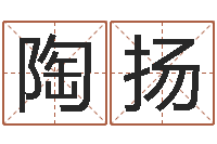 陶扬星命根-手相学