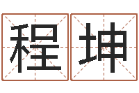 崔程坤十二生肖五行-软件公司名字