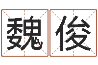 魏俊教育改革研究会-童子命年黄历吉日