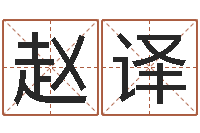 赵译智名视-装修公司起名