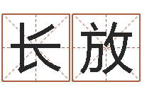 杨长放易经寻-年属狗的运程