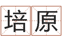 宋培原河北省周易研究会-彩吧