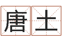 唐土给小动物起名字-学习四柱八字排盘