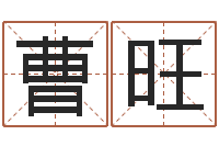 曹旺保命导-站长道教能不能改命?