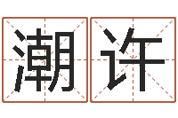 叶潮许真命注-网络公司起名