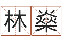 林林燊属鸡人还阴债年运程-刘德华的英文名字