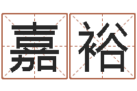 孙嘉裕辛卯年是什么命-免费取名字测试