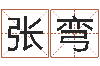 张弯天命阁-电脑公司名字