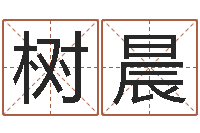 沙树晨佳命巡-年月日教案